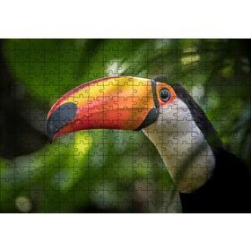 Cakapuzzle Tropikal Kuş Tucan Yakın Plan 120 Parça Ahşap Puzzle