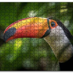 Cakapuzzle Tropikal Kuş Tucan Yakın Plan Mdf 1000 Parça Puzzle