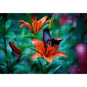 Cakapuzzle Truncu Lilyum Çiçeği ve Mavi Kelebek Görseli Mdf 500 Parça Puzzle