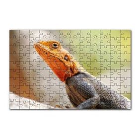 Cakapuzzle Turuncu Başlı Kertenkele Yakın Çekim 120 Parça Ahşap Puzzle