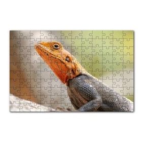 Cakapuzzle Turuncu Başlı Kertenkele Yakın Çekim 120 Parça Ahşap Puzzle