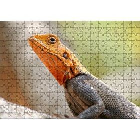 Cakapuzzle Turuncu Başlı Kertenkele Yakın Çekim 120 Parça Ahşap Puzzle