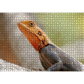 Cakapuzzle Turuncu Başlı Kertenkele Yakın Çekim 120 Parça Ahşap Puzzle