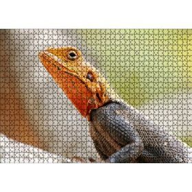 Cakapuzzle Turuncu Başlı Kertenkele Yakın Çekim 120 Parça Ahşap Puzzle