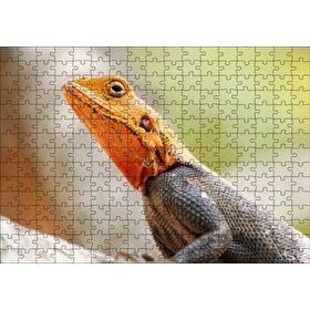 Cakapuzzle Turuncu Başlı Kertenkele Yakın Çekim 120 Parça Ahşap Puzzle