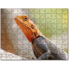 Cakapuzzle Turuncu Başlı Kertenkele Yakın Çekim Mdf 500 Parça Puzzle