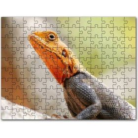 Cakapuzzle Turuncu Başlı Kertenkele Yakın Çekim Mdf 500 Parça Puzzle