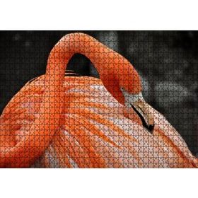 Cakapuzzle Turuncu Flamingo 120 Parça Ahşap Puzzle