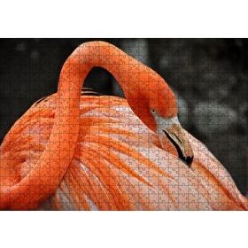 Cakapuzzle Turuncu Flamingo 120 Parça Ahşap Puzzle
