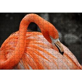 Cakapuzzle Turuncu Flamingo 255 Parça Puzzle