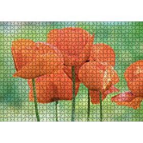 Cakapuzzle Turuncu Gelincikler 120 Parça Ahşap Puzzle