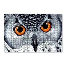 Cakapuzzle Turuncu Gözlü Kar Baykuşu Yakın Plan 120 Parça Ahşap Puzzle