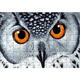 Cakapuzzle Turuncu Gözlü Kar Baykuşu Yakın Plan 120 Parça Ahşap Puzzle