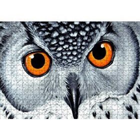 Cakapuzzle Turuncu Gözlü Kar Baykuşu Yakın Plan 120 Parça Ahşap Puzzle
