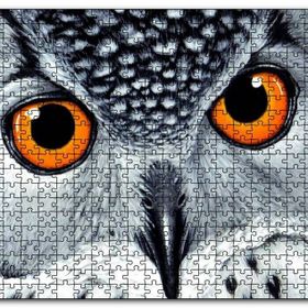 Cakapuzzle Turuncu Gözlü Kar Baykuşu Yakın Plan Mdf 120 Parça Puzzle