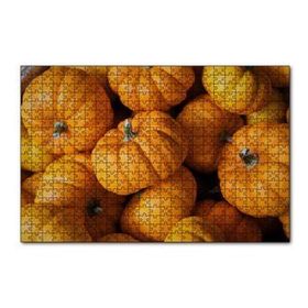 Cakapuzzle Turuncu Minyatür Kabaklar Yakın Plan 120 Parça Ahşap Puzzle