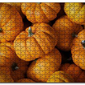 Cakapuzzle Turuncu Minyatür Kabaklar Yakın Plan Mdf 120 Parça Puzzle