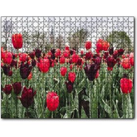 Cakapuzzle Turuncu ve Mor Laleler 1000 Parça Puzzle