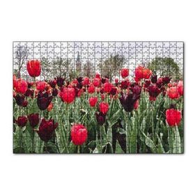 Cakapuzzle Turuncu Ve Mor Laleler 120 Parça Ahşap Puzzle