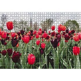 Cakapuzzle Turuncu Ve Mor Laleler 120 Parça Ahşap Puzzle