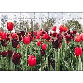 Cakapuzzle Turuncu Ve Mor Laleler 120 Parça Ahşap Puzzle