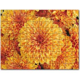 Cakapuzzle Turuncu Yıldız Çiçekleri 255 Parça Puzzle