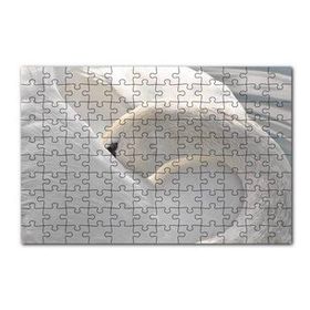 Cakapuzzle Tüylerini Temizleyen Zarif Beyaz Kuğu 120 Parça Ahşap Puzzle