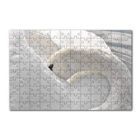 Cakapuzzle Tüylerini Temizleyen Zarif Beyaz Kuğu 120 Parça Ahşap Puzzle