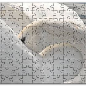 Cakapuzzle Tüylerini Temizleyen Zarif Beyaz Kuğu Mdf 500 Parça Puzzle