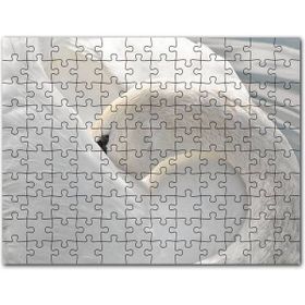Cakapuzzle Tüylerini Temizleyen Zarif Beyaz Kuğu Mdf 500 Parça Puzzle
