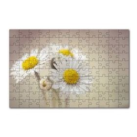 Cakapuzzle Üç Papatya Yakın Çekim Flu Arkaplan 120 Parça Ahşap Puzzle