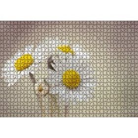 Cakapuzzle Üç Papatya Yakın Çekim Flu Arkaplan 120 Parça Ahşap Puzzle