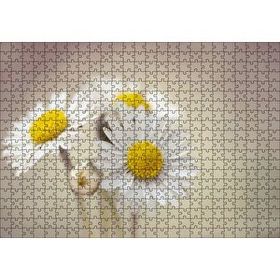 Cakapuzzle Üç Papatya Yakın Çekim Flu Arkaplan 120 Parça Ahşap Puzzle