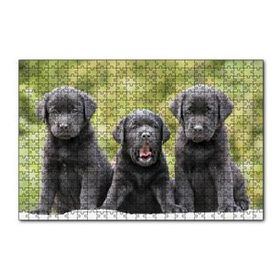Cakapuzzle Üç Sevimli Siyah Yavru Köpek 120 Parça Ahşap Puzzle