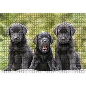 Cakapuzzle Üç Sevimli Siyah Yavru Köpek 120 Parça Ahşap Puzzle