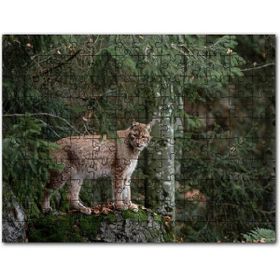 Cakapuzzle Uçurtma Uçuran Kız ve Renk Püsküren Fil Mdf 255 Parça Puzzle