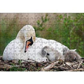Cakapuzzle Uykudaki Kuğu Ailesi 120 Parça Ahşap Puzzle