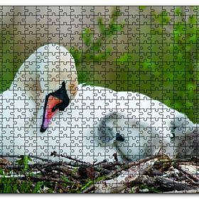 Cakapuzzle Uykudaki Kuğu Ailesi Ahşap 1000 Parça Puzzle