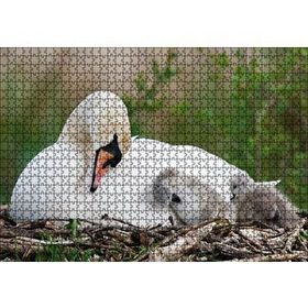 Cakapuzzle Uykudaki Kuğu Ailesi Ahşap 1000 Parça Puzzle