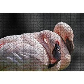 Cakapuzzle Uyuklayan Bir Çift Flamingo 120 Parça Ahşap Puzzle