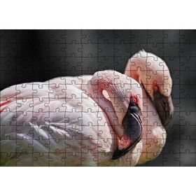 Cakapuzzle Uyuklayan Bir Çift Flamingo 120 Parça Ahşap Puzzle
