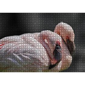 Cakapuzzle Uyuklayan Bir Çift Flamingo Mdf 1000 Parça Puzzle