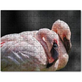 Cakapuzzle Uyuklayan Bir Çift Flamingo Mdf 120 Parça Puzzle