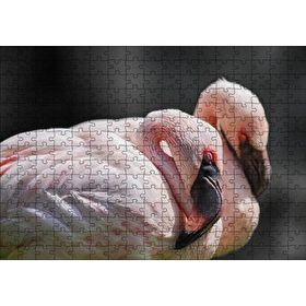 Cakapuzzle Uyuklayan Bir Çift Flamingo Mdf 255 Parça Puzzle