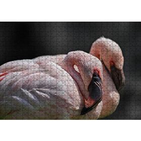 Cakapuzzle Uyuklayan Flamingolar 120 Parça Ahşap Puzzle