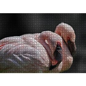 Cakapuzzle Uyuklayan Flamingolar Mdf 1000 Parça Puzzle