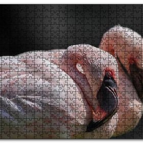 Cakapuzzle Uyuklayan Flamingolar Mdf 500 Parça Puzzle