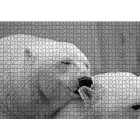 Cakapuzzle Uyuklayan Kutup Ayısı Mdf 1000 Parça Puzzle