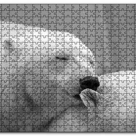 Cakapuzzle Uyuklayan Kutup Ayısı Mdf 120 Parça Puzzle