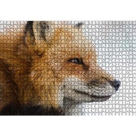 Cakapuzzle Uzakları İzleyen Kızıl Tilki Yakın Çekim 120 Parça Ahşap Puzzle